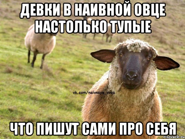 Девки в наивной овце настолько тупые Что пишут сами про себя, Мем  Наивная Овца