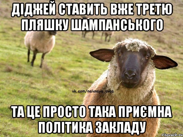 діджей ставить вже третю пляшку шампанського та це просто така приємна політика закладу, Мем  Наивная Овца