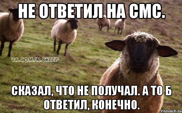 не ответил на смс. сказал, что не получал. А то б ответил, конечно., Мем  Наивная Овца