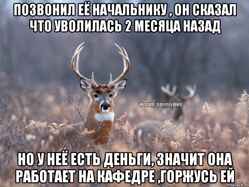 ПОЗВОНИЛ ЕЁ НАЧАЛЬНИКУ , ОН СКАЗАЛ ЧТО УВОЛИЛАСЬ 2 МЕСЯЦА НАЗАД НО У НЕЁ ЕСТЬ ДЕНЬГИ, ЗНАЧИТ ОНА РАБОТАЕТ НА КАФЕДРЕ ,ГОРЖУСЬ ЕЙ, Мем   Наивный олень