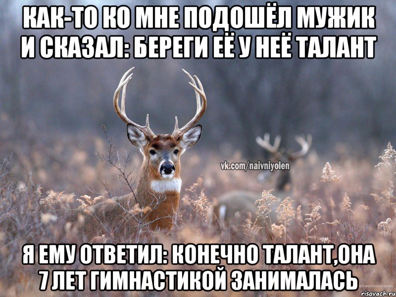 КАК-ТО КО МНЕ ПОДОШЁЛ МУЖИК И СКАЗАЛ: БЕРЕГИ ЕЁ У НЕЁ ТАЛАНТ Я ЕМУ ОТВЕТИЛ: КОНЕЧНО ТАЛАНТ,ОНА 7 ЛЕТ ГИМНАСТИКОЙ ЗАНИМАЛАСЬ