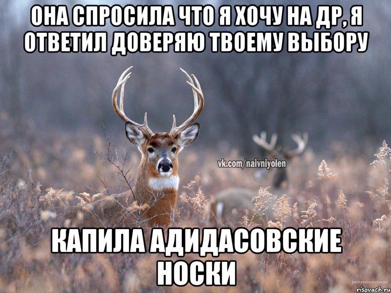 ОНА СПРОСИЛА ЧТО Я ХОЧУ НА ДР, Я ОТВЕТИЛ ДОВЕРЯЮ ТВОЕМУ ВЫБОРУ КАПИЛА АДИДАСОВСКИЕ НОСКИ, Мем   Наивный олень