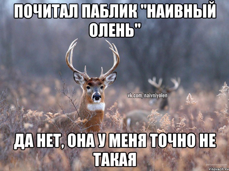 Почитал паблик "Наивный Олень" Да нет, она у меня точно не такая, Мем   Наивный олень