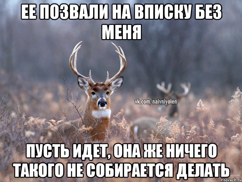 ЕЕ ПОЗВАЛИ НА ВПИСКУ БЕЗ МЕНЯ ПУСТЬ ИДЕТ, ОНА ЖЕ НИЧЕГО ТАКОГО НЕ СОБИРАЕТСЯ ДЕЛАТЬ, Мем   Наивный олень