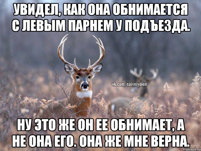 Увидел, как она обнимается с левым парнем у подъезда. Ну это же он ее обнимает, а не она его. Она же мне верна., Мем   Наивный олень