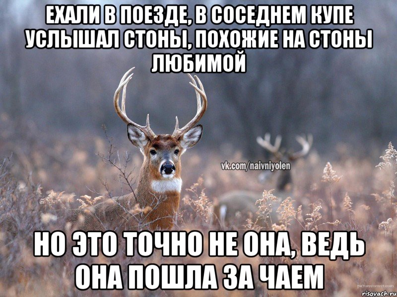 Ехали в поезде, в соседнем купе услышал стоны, похожие на стоны любимой Но это точно не она, ведь она пошла за чаем