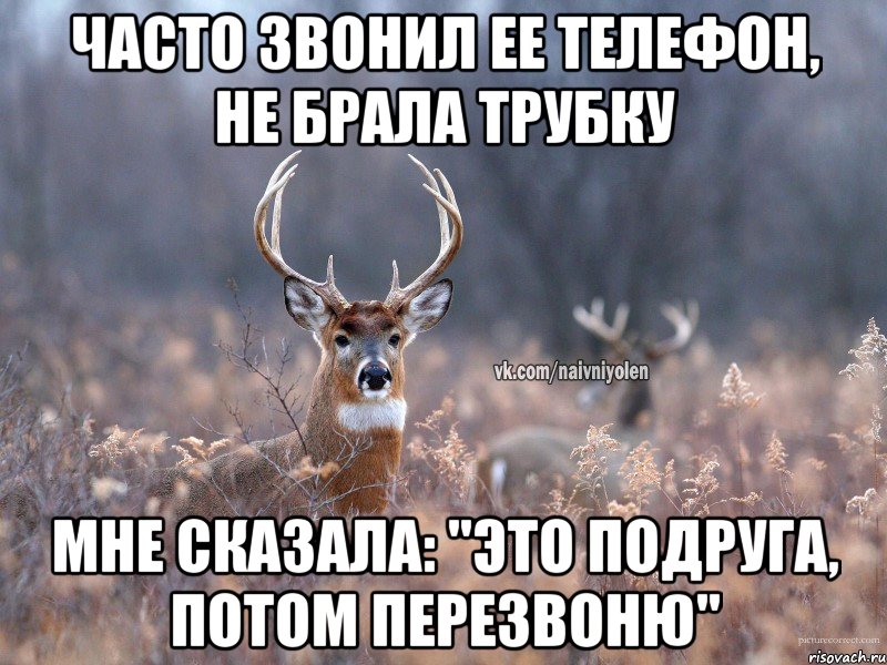 часто звонил ее телефон, не брала трубку мне сказала: "это подруга, потом перезвоню", Мем   Наивный олень