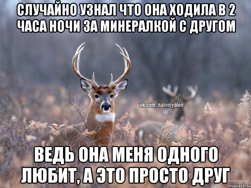 случайно узнал что она ходила в 2 часа ночи за минералкой с другом ведь она меня одного любит, а это просто друг, Мем   Наивный олень