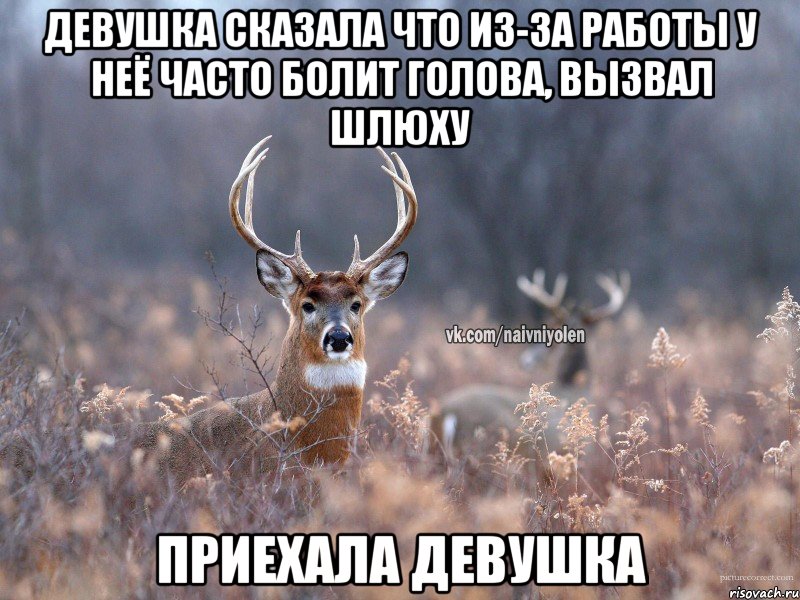 ДЕВУШКА СКАЗАЛА ЧТО ИЗ-ЗА РАБОТЫ У НЕЁ ЧАСТО БОЛИТ ГОЛОВА, ВЫЗВАЛ ШЛЮХУ ПРИЕХАЛА ДЕВУШКА