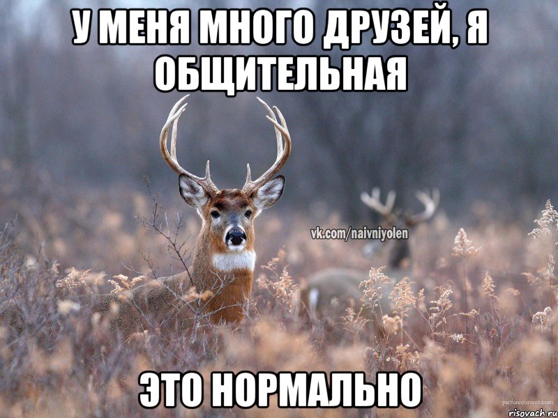 У меня много друзей, я общительная Это нормально