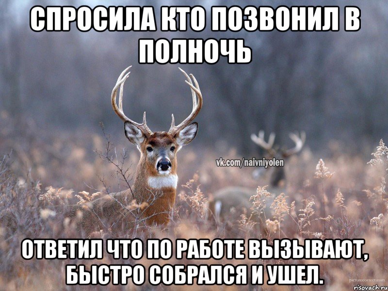 Спросила кто позвонил в полночь Ответил что по работе вызывают, быстро собрался и ушел.