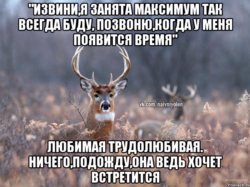 "извини,я занята максимум так всегда буду, позвоню,когда у меня появится время" любимая трудолюбивая. ничего,подожду,она ведь хочет встретится