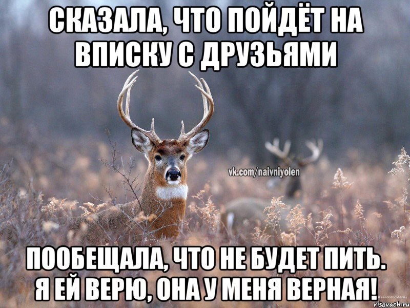 Сказала, что пойдёт на вписку с друзьями Пообещала, что не будет пить. Я ей верю, она у меня верная!