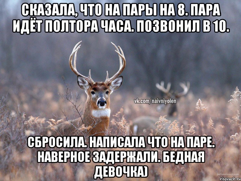 Сказала, что на пары на 8. Пара идёт полтора часа. Позвонил в 10. Сбросила. Написала что на паре. Наверное задержали. Бедная девочка), Мем   Наивный олень