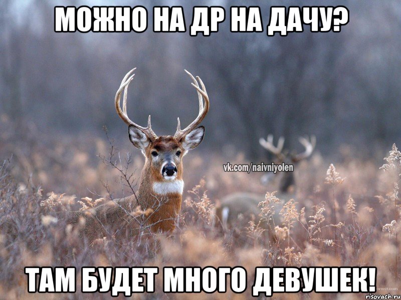 можно на др на дачу? там будет много девушек!