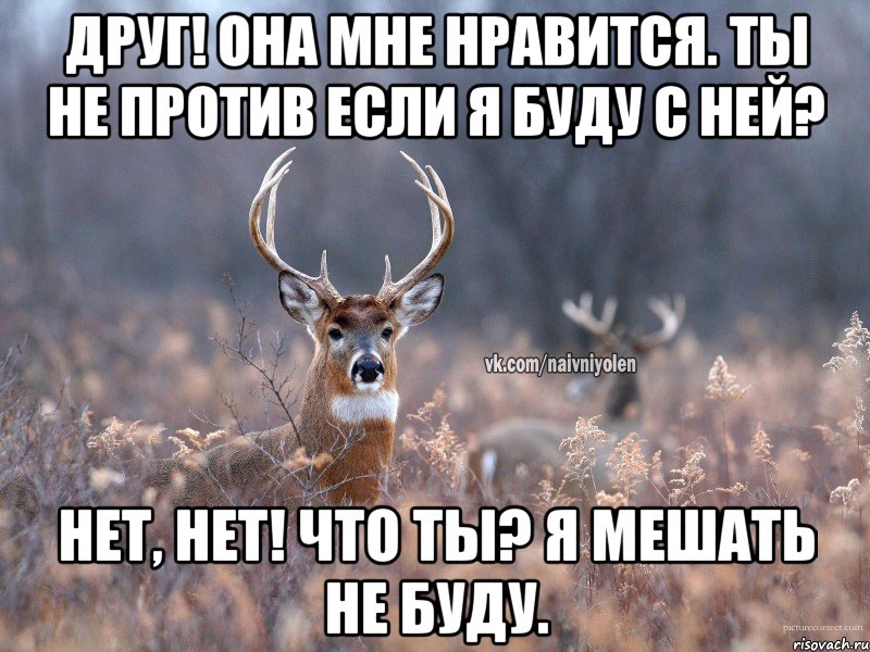 ДРУГ! ОНА МНЕ НРАВИТСЯ. ТЫ НЕ ПРОТИВ ЕСЛИ Я БУДУ С НЕЙ? НЕТ, НЕТ! ЧТО ТЫ? Я МЕШАТЬ НЕ БУДУ., Мем   Наивный олень