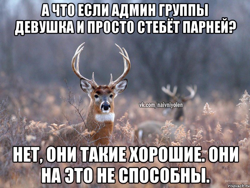 А что если админ группы девушка и просто стебёт парней? Нет, они такие хорошие. Они на это не способны., Мем   Наивный олень