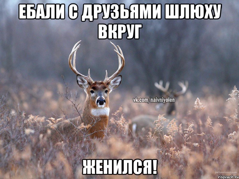 ебали с друзьями шлюху вкруг женился!