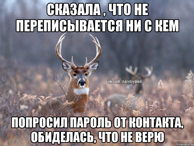 Сказала , что не переписывается ни с кем Попросил пароль от контакта, обиделась, что не верю