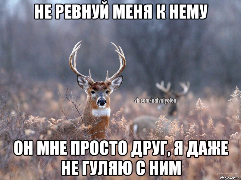 Не ревнуй меня к нему Он мне просто друг, я даже не гуляю с ним