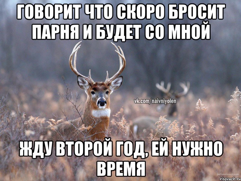 Говорит что скоро бросит парня и будет со мной жду второй год, ей нужно время, Мем   Наивный олень