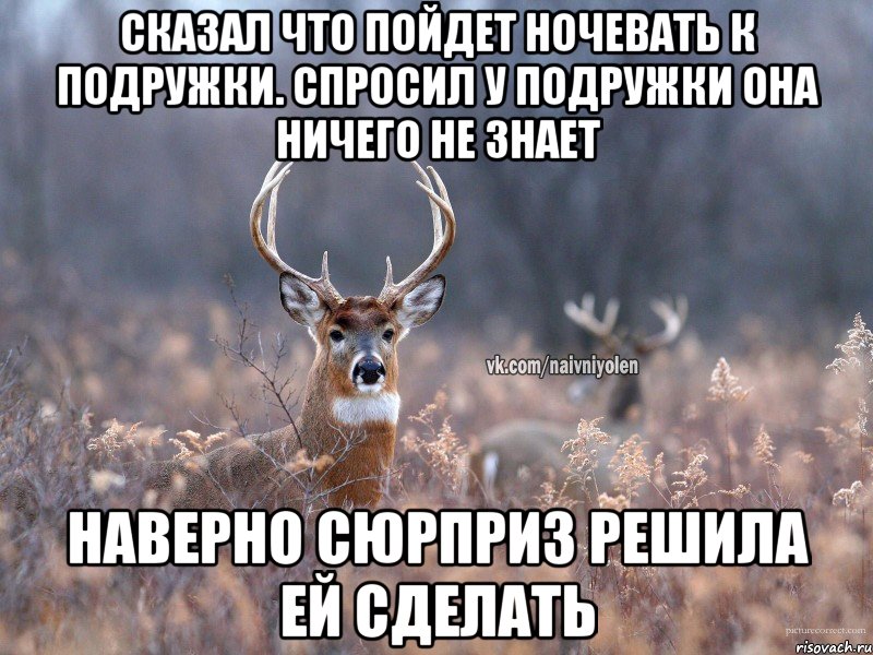 Сказал что пойдет ночевать к подружки. Спросил у подружки она ничего не знает наверно сюрприз решила ей сделать, Мем   Наивный олень