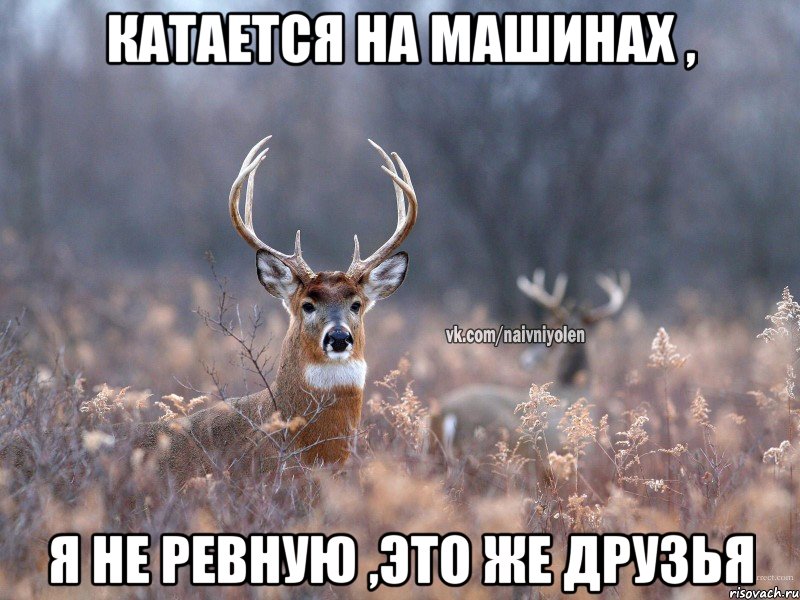 Катается на машинах , я не ревную ,это же друзья