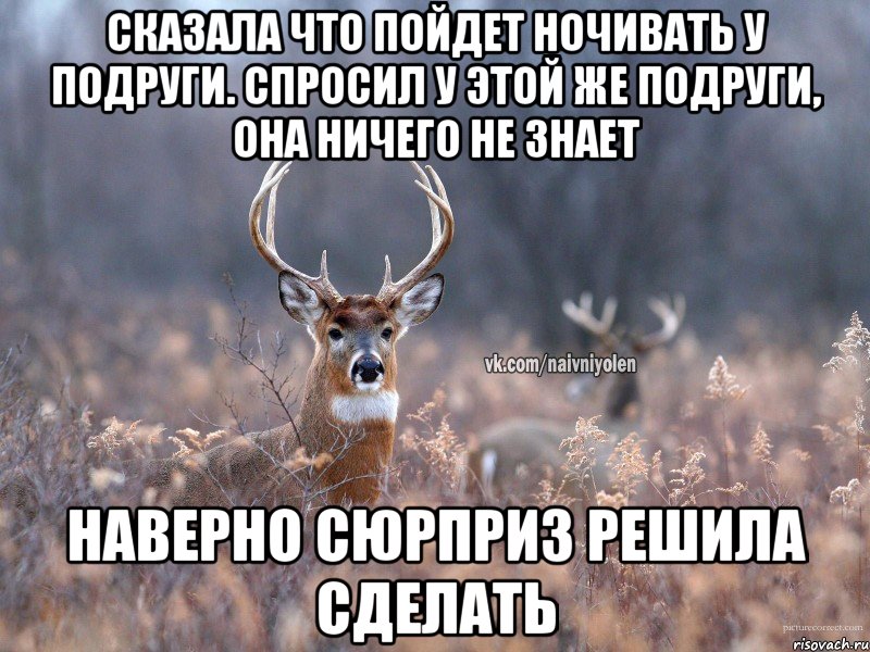 сказала что пойдет ночивать у подруги. Спросил у этой же подруги, она ничего не знает наверно сюрприз решила сделать