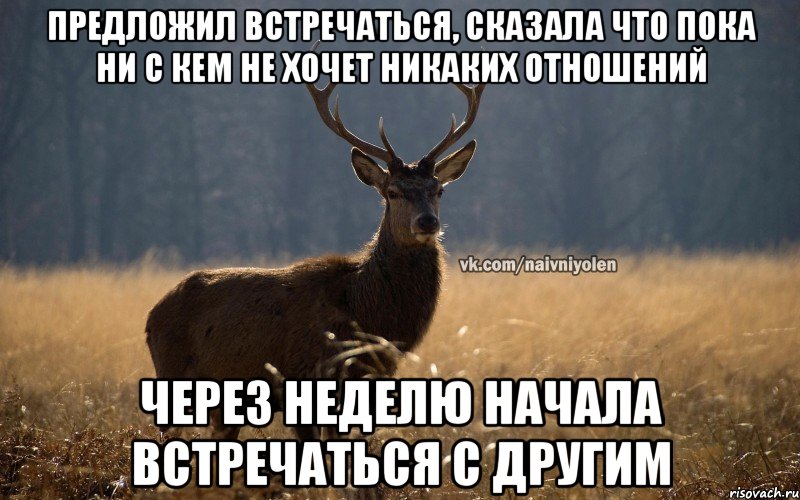 предложил встречаться, сказала что пока ни с кем не хочет никаких отношений через неделю начала встречаться с другим