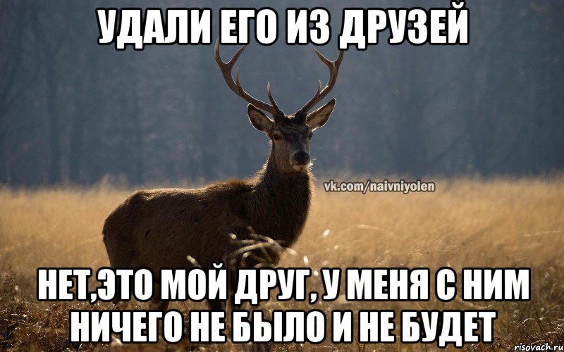 удали его из друзей нет,это мой друг, у меня с ним ничего не было и не будет