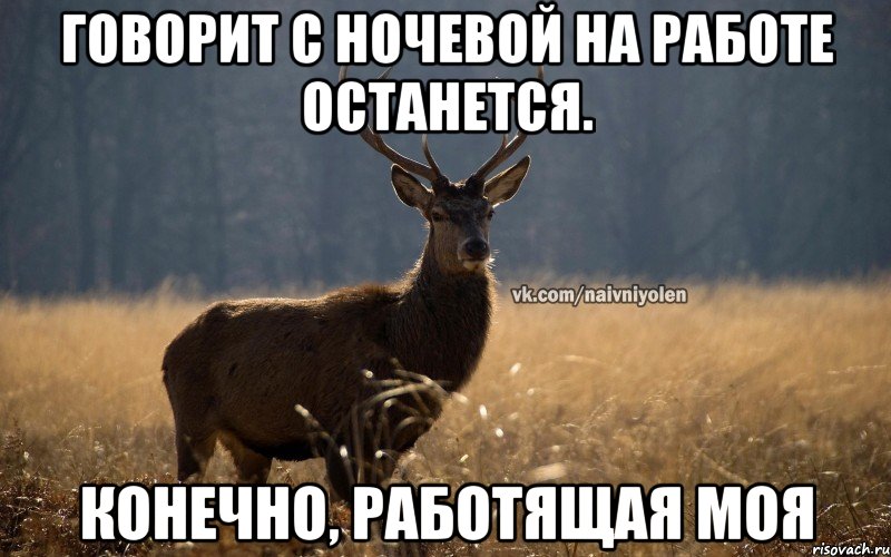 говорит с ночевой на работе останется. конечно, работящая моя, Мем Наивный Олень vk2