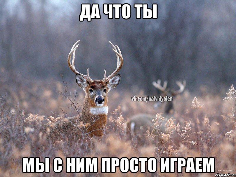 Да что ты Мы с ним просто играем