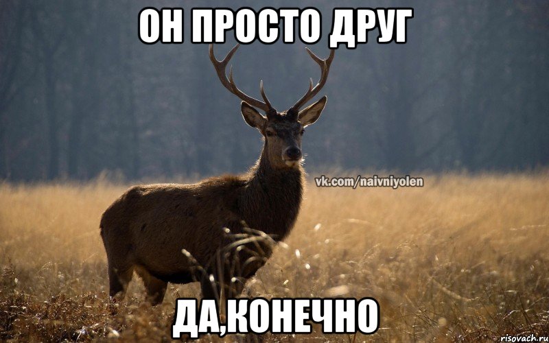 Он просто друг да,конечно