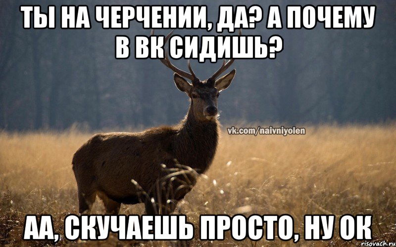 Ты на черчении, да? А почему в вк сидишь? Аа, скучаешь просто, ну ок, Мем Наивный Олень vk2