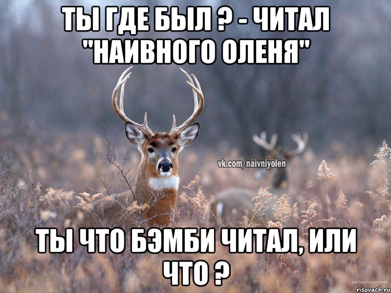 Ты где был ? - Читал "Наивного оленя" Ты что бэмби читал, или что ?, Мем   Наивный олень