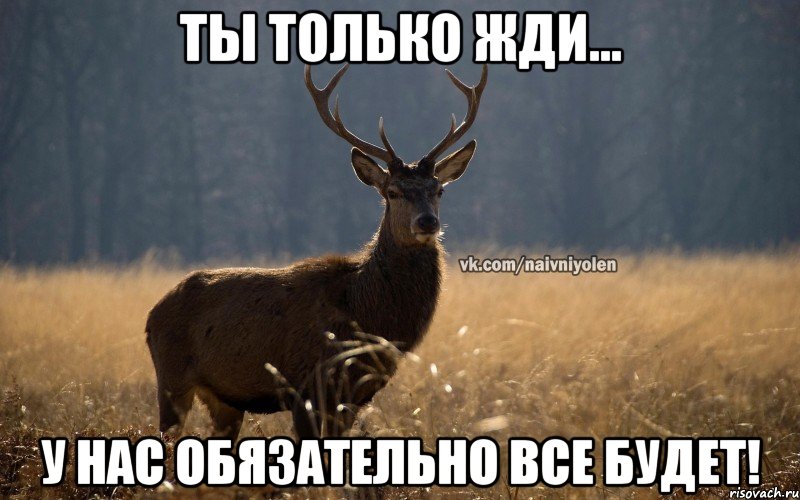 Ты только жди... У нас обязательно все будет!