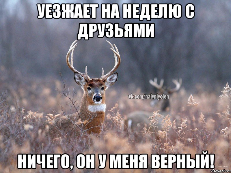 Уезжает на неделю с друзьями Ничего, он у меня верный!