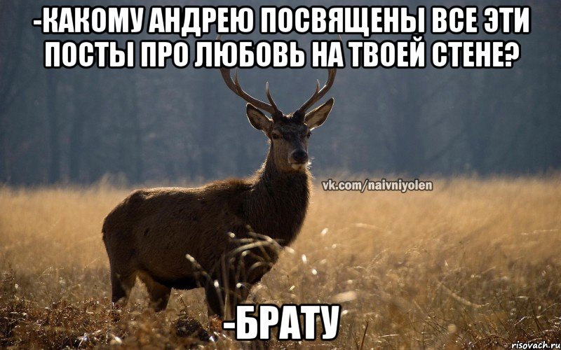 -Какому Андрею посвящены все эти посты про любовь на твоей стене? -Брату