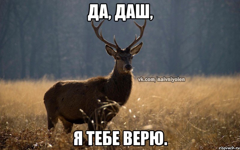 Да, Даш, я тебе верю.