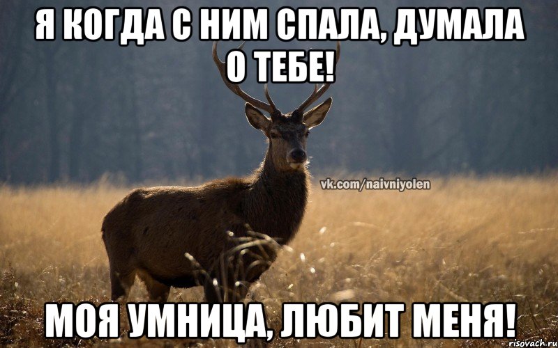 Я когда с ним спала, думала о тебе! Моя умница, любит меня!