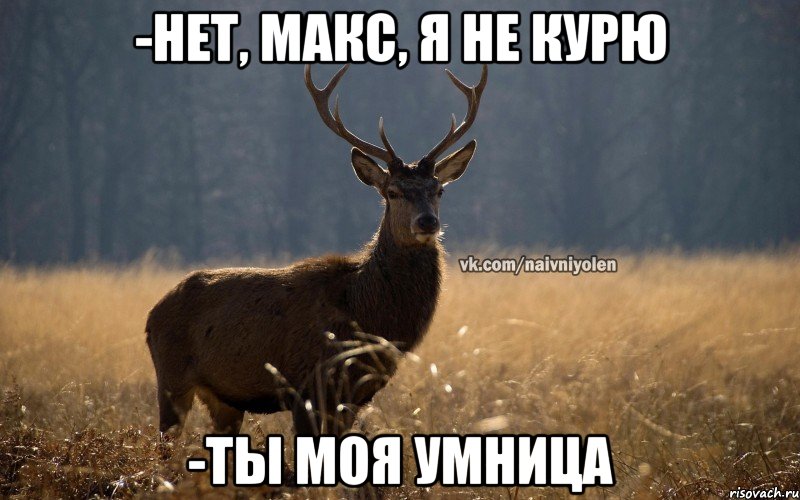 -Нет, Макс, я не курю -Ты моя умница