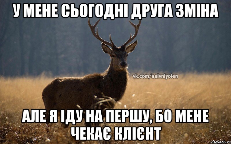 У мене сьогодні друга зміна Але я іду на першу, бо мене чекає клієнт, Мем Наивный Олень vk2