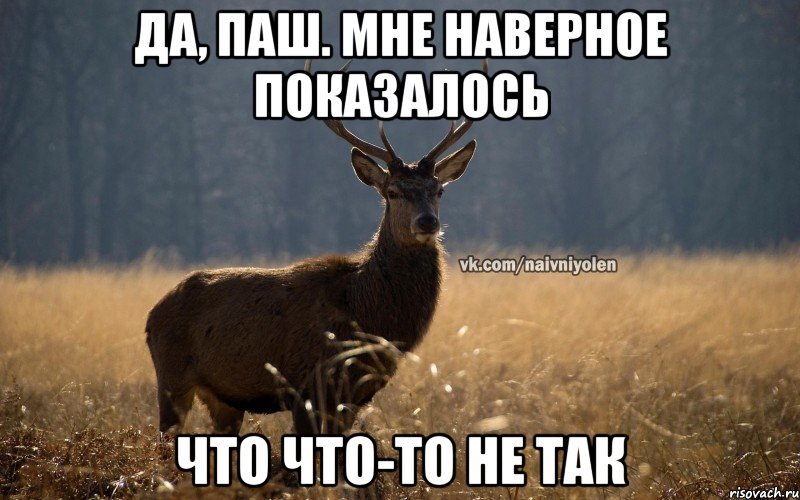 Да, Паш. Мне наверное показалось Что что-то не так, Мем Наивный Олень vk2