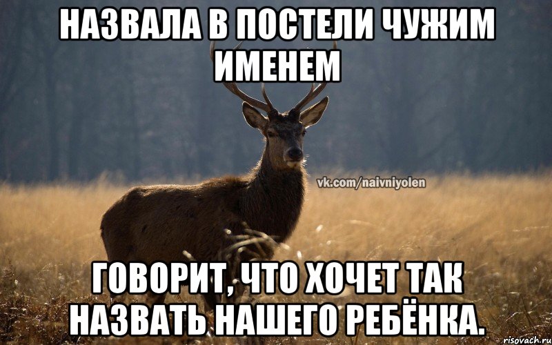 Назвала в постели чужим именем говорит, что хочет так назвать нашего ребёнка., Мем Наивный Олень vk2