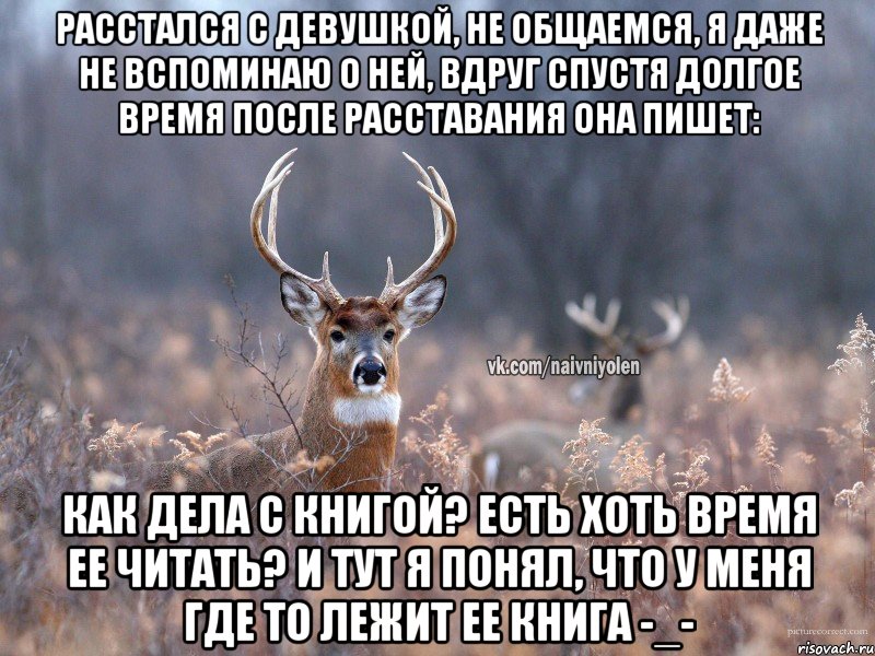 Расстался с девушкой, не общаемся, я даже не вспоминаю о ней, вдруг спустя долгое время после расставания она пишет: Как дела с книгой? Есть хоть время ее читать? И тут я понял, что у меня где то лежит ее книга -_-, Мем   Наивный олень