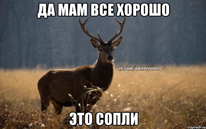 Да мам все хорошо Это сопли