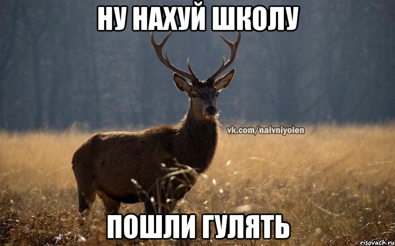 Ну нахуй школу Пошли гулять