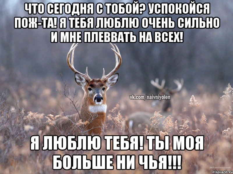 что сегодня с тобой? успокойся пож-та! я тебя люблю очень сильно и мне плеввать на всех! Я люблю тебя! Ты моя больше ни чья!!!, Мем   Наивный олень