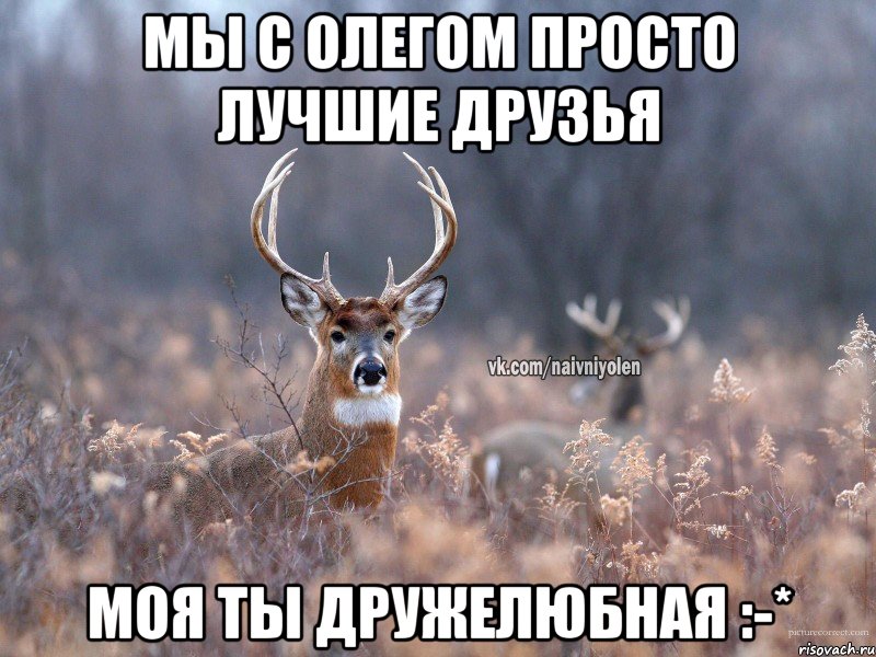 Мы с Олегом просто лучшие друзья Моя ты дружелюбная :-*, Мем   Наивный олень