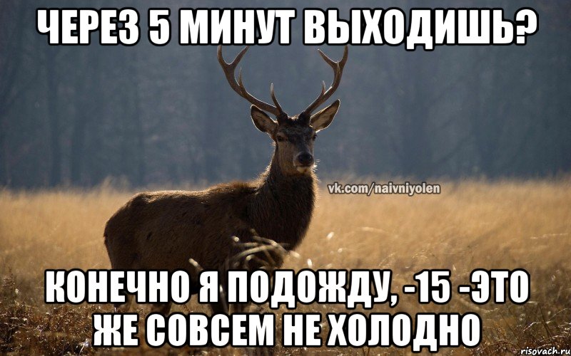 через 5 минут выходишь? конечно я подожду, -15 -это же совсем не холодно, Мем Наивный Олень vk2